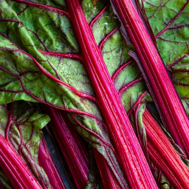Chard