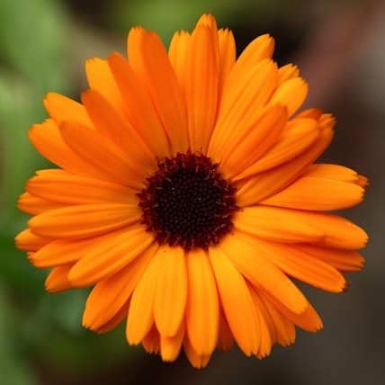 01K5NYQVDKCYND5XXRDRMFSM7N