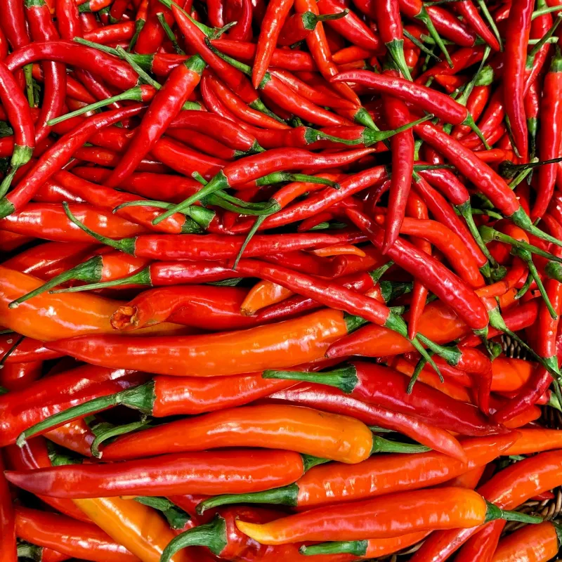 Chilli