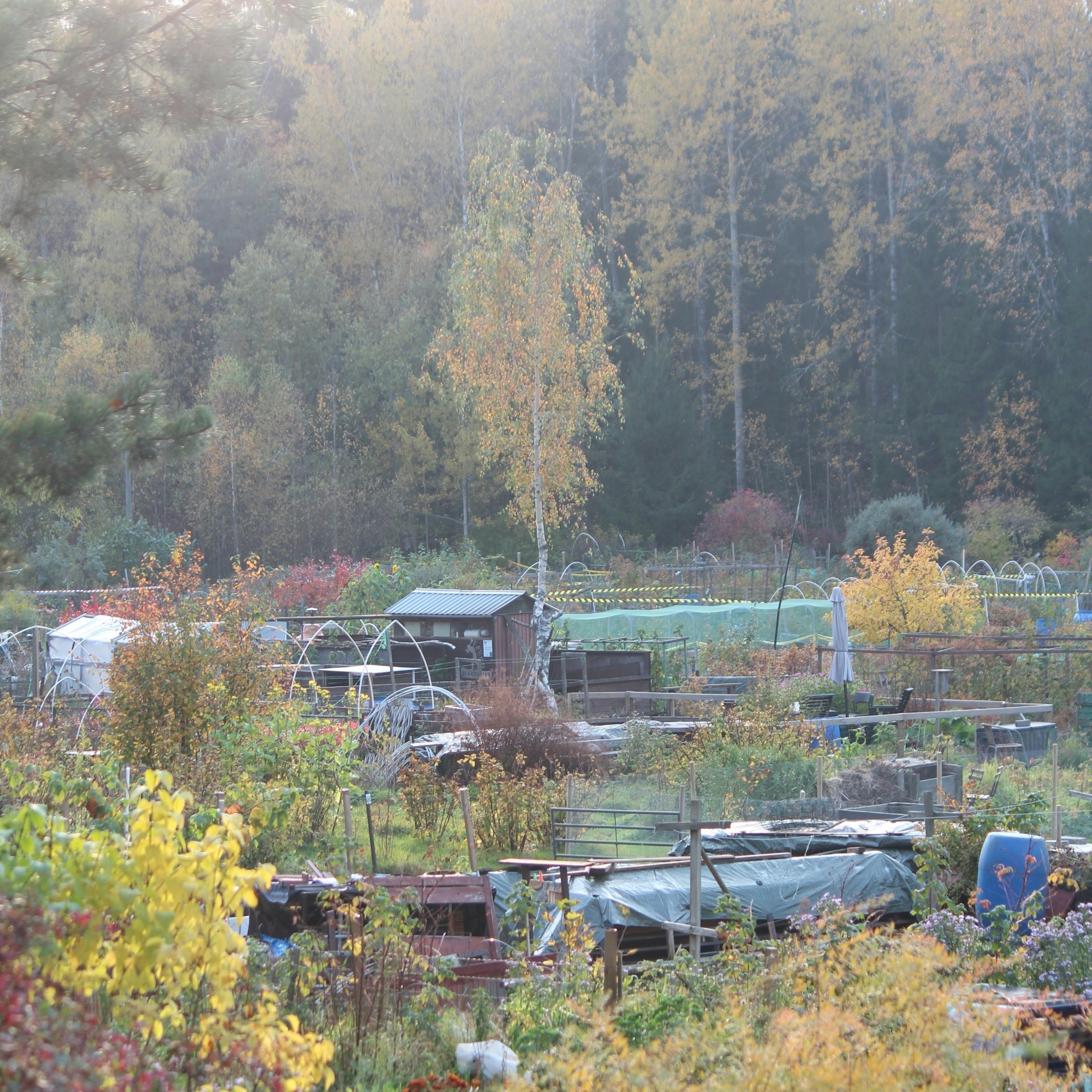 01K4N3VKPY5ATENYPMNKK843E1