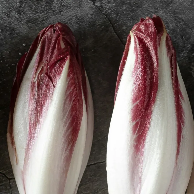 Endive