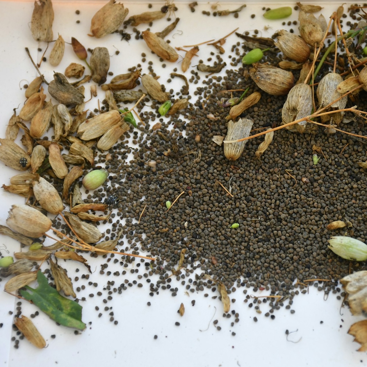 vincenzo-tabaglio-vCpbmT9jQGs-unsplash