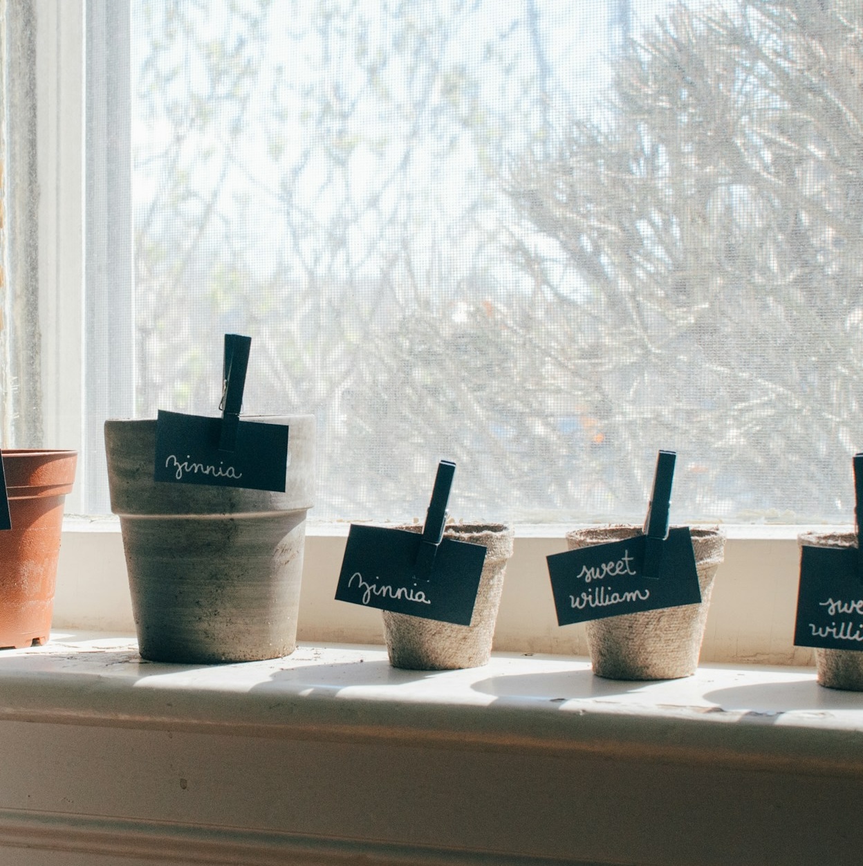 kelly-sikkema-DDQW3EU_Cb4-unsplash