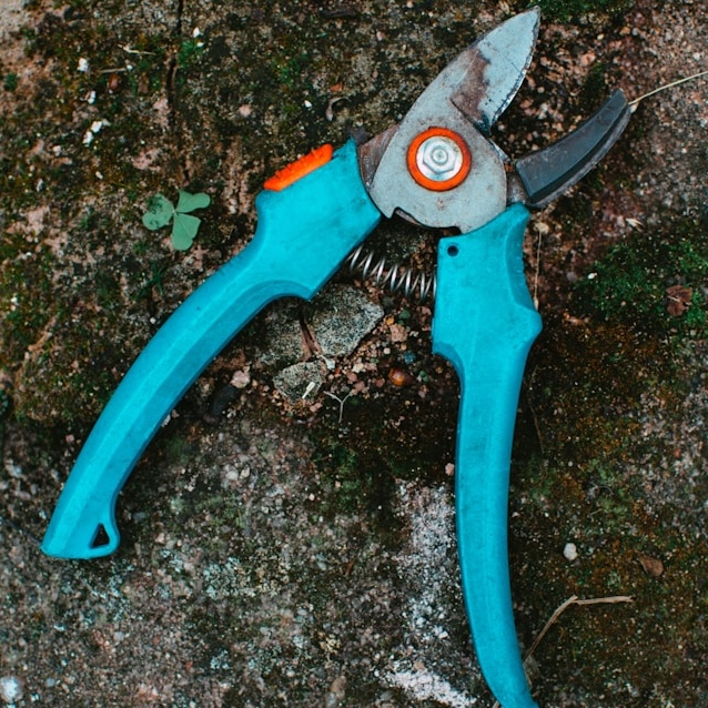 markus-spiske-eKmwptiw_3o-unsplash