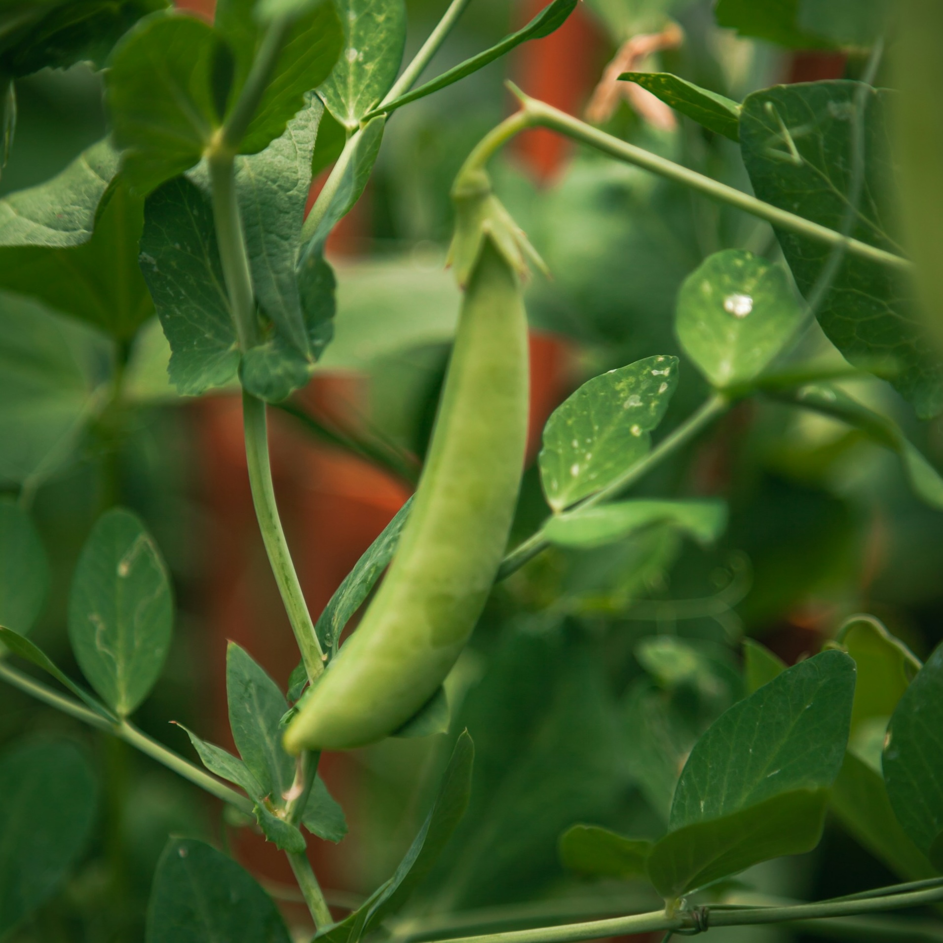 derek-sutton-xLZ6YiYMQK4-unsplash