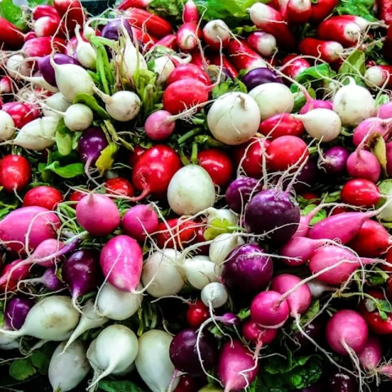 Radish