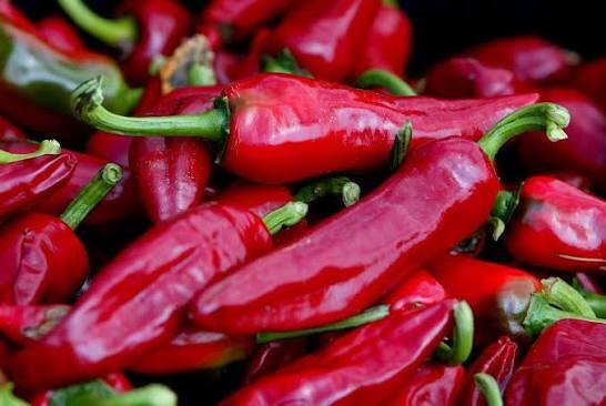 Gorria Chilli