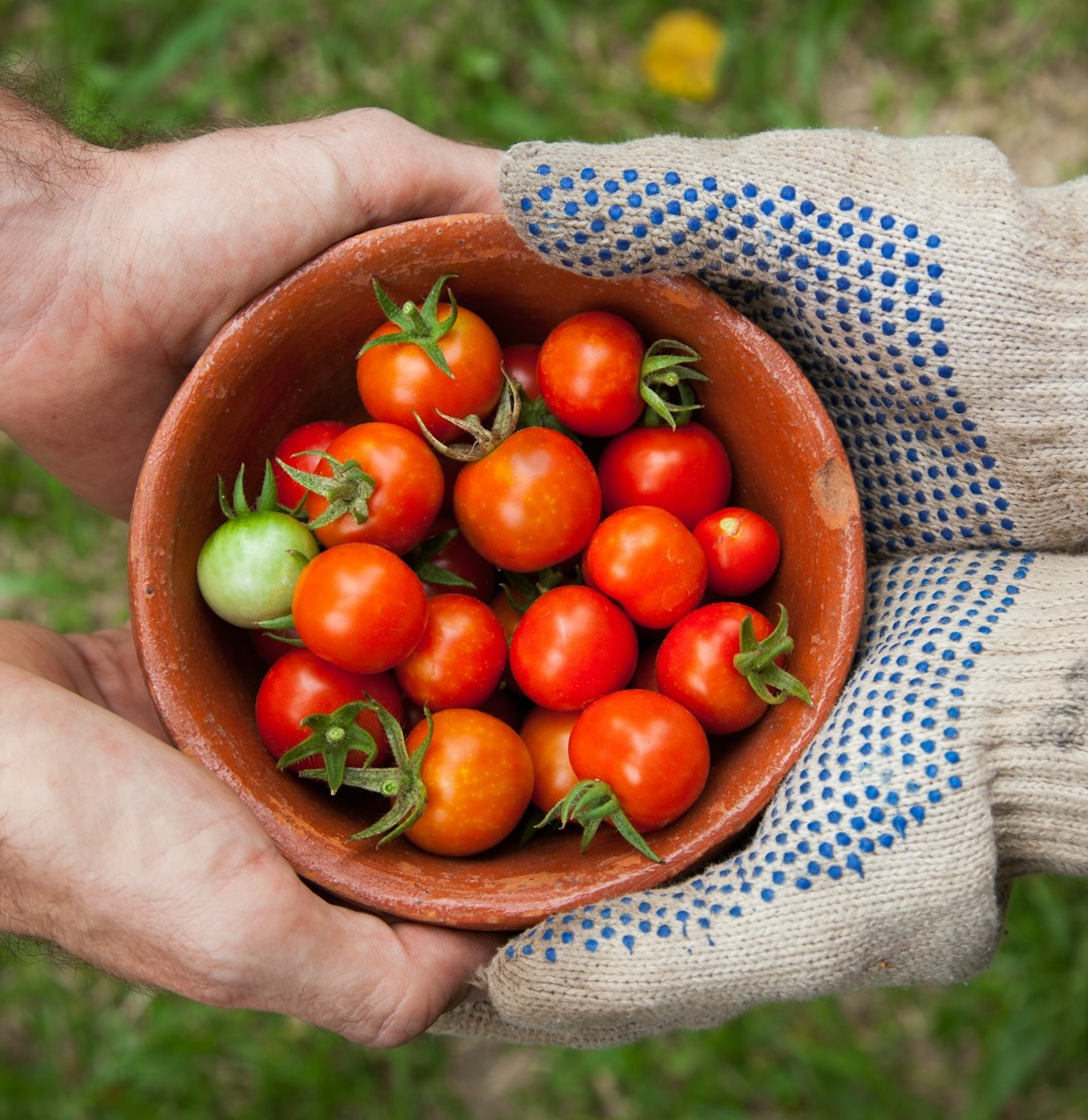 elaine-casap-qgHGDbbSNm8-unsplash