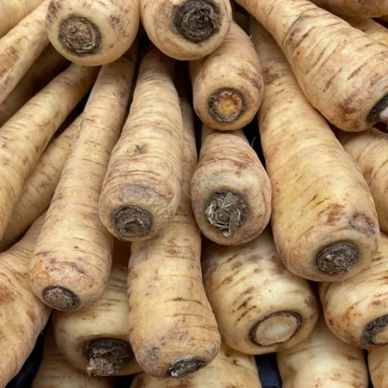 Parsnip