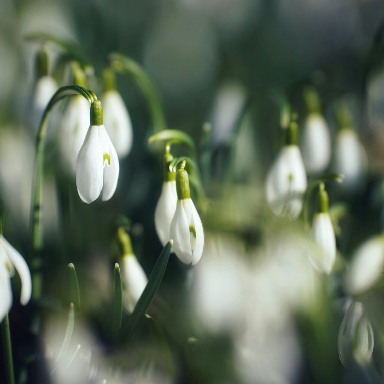 pascal-debrunner-lNiNPy_SRno-unsplash-v1