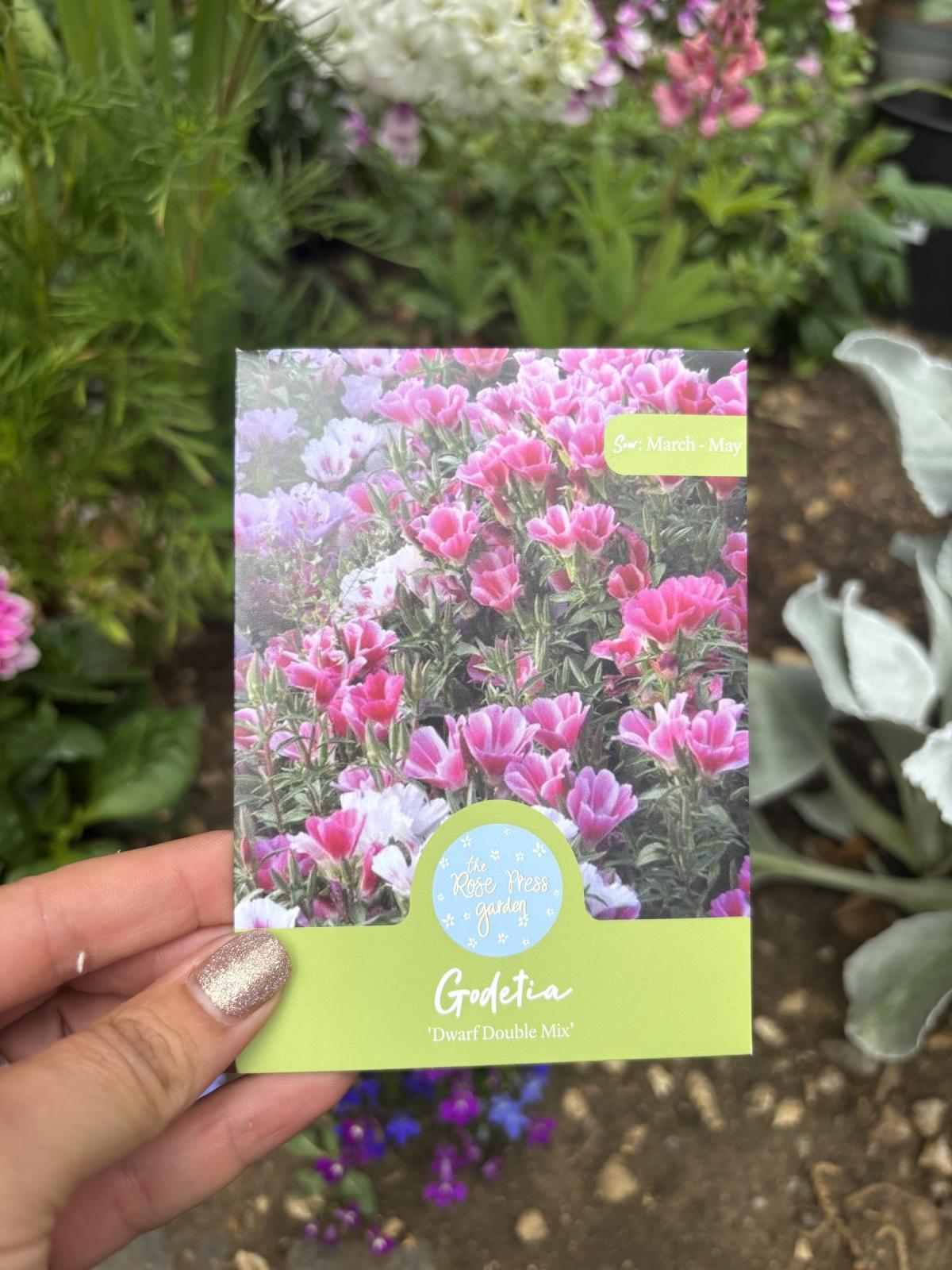 Dwarf Monarch Mix Godetia