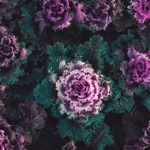 01K4N5RDWV58NNREDHVQA6JY5T