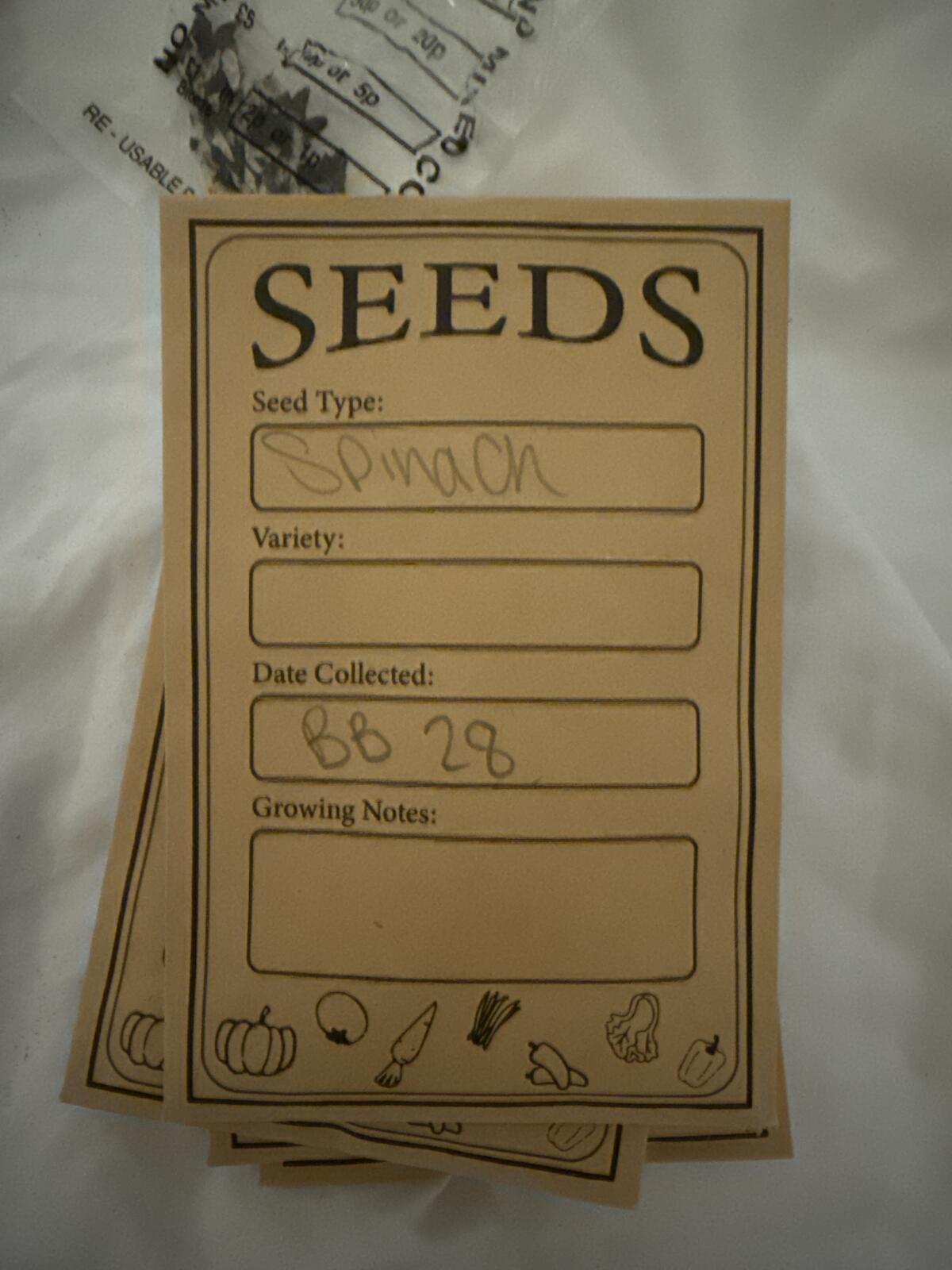Matador Spinach