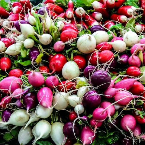 Turnip